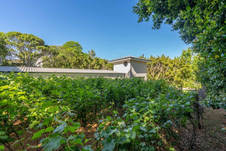 3 Bedroom Property for Sale in Constantia Western Cape